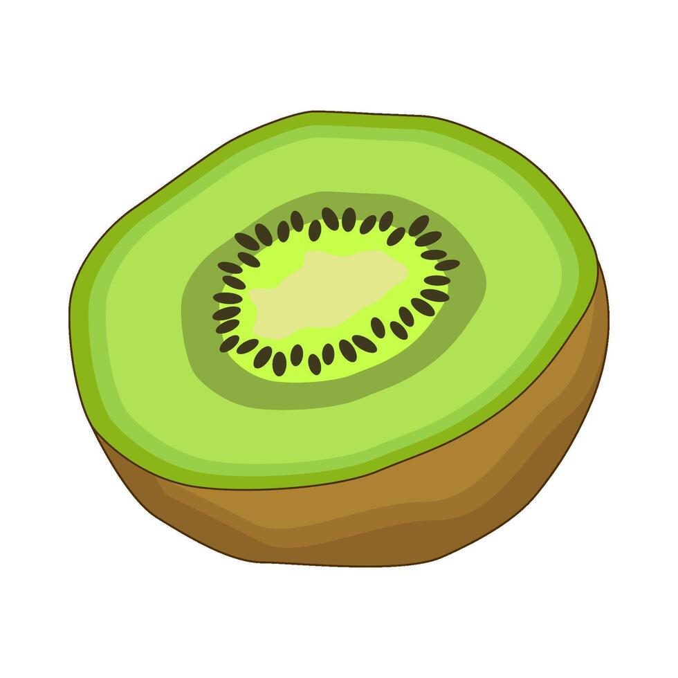 illustration of kiwi vector