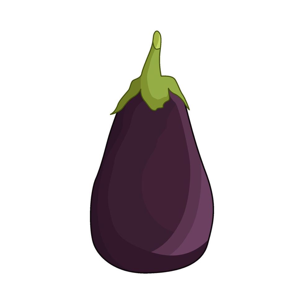 illustration of eggplant vector
