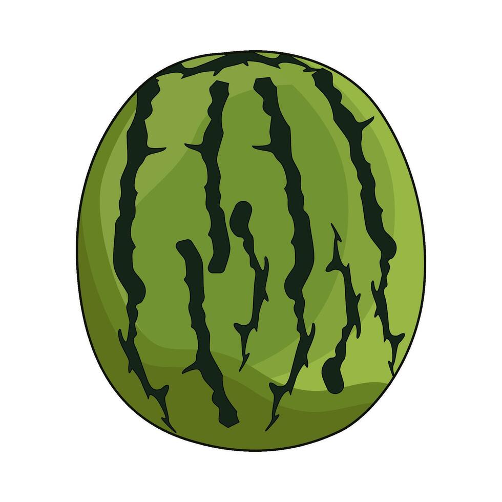 illustration of watermelon vector