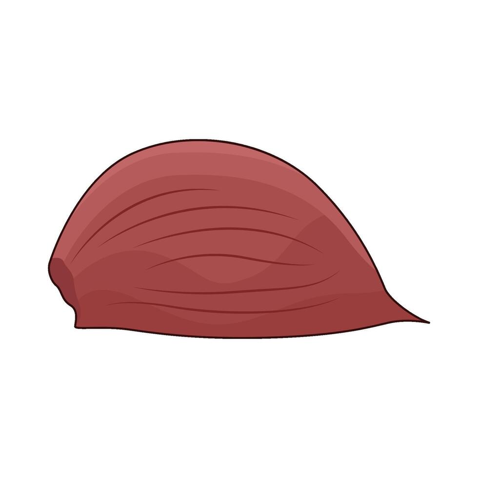 illustration of red onion vector