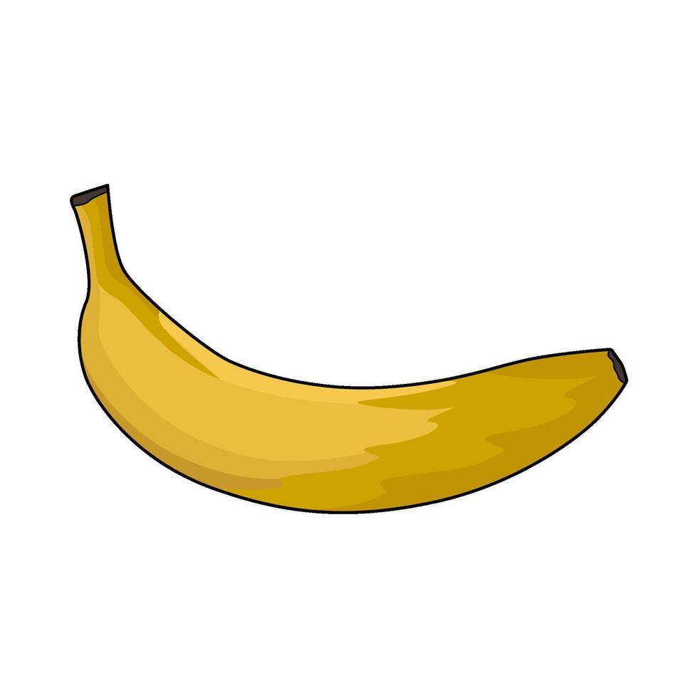 illustration of banana vector