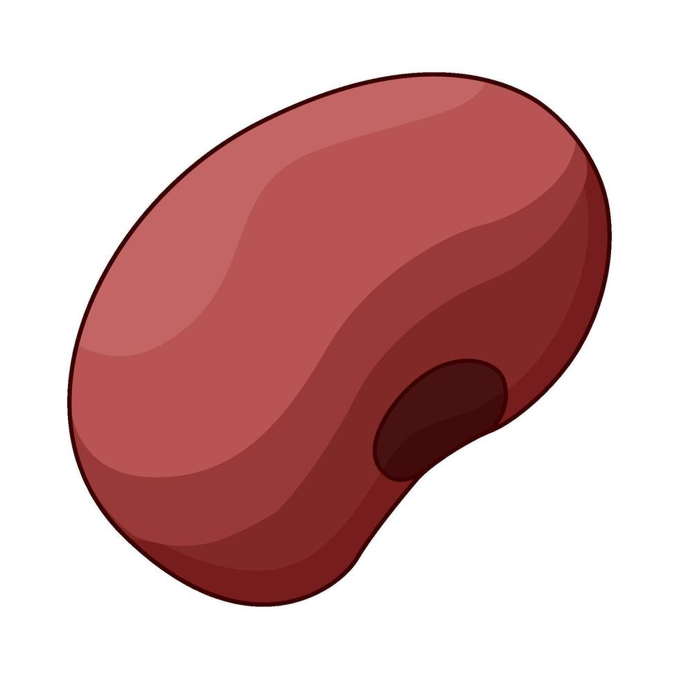 illustration of red bean vector