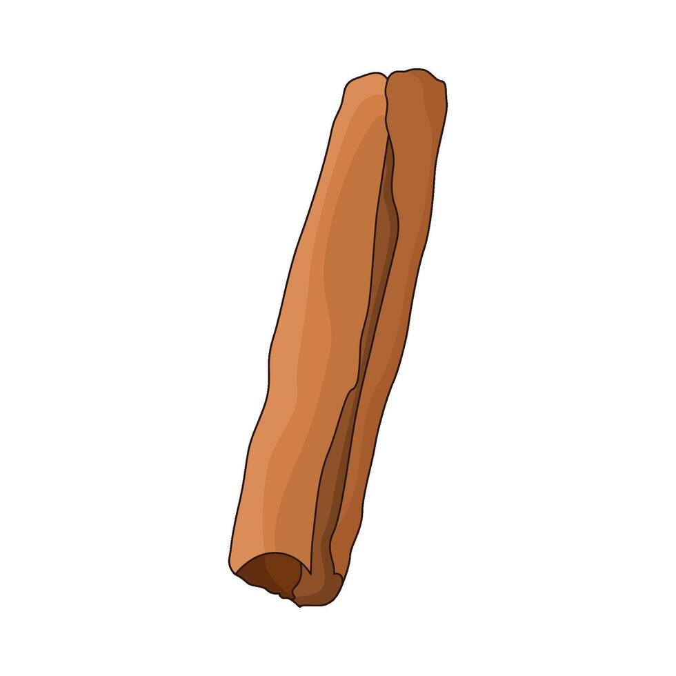 illustration of cinnamon vector
