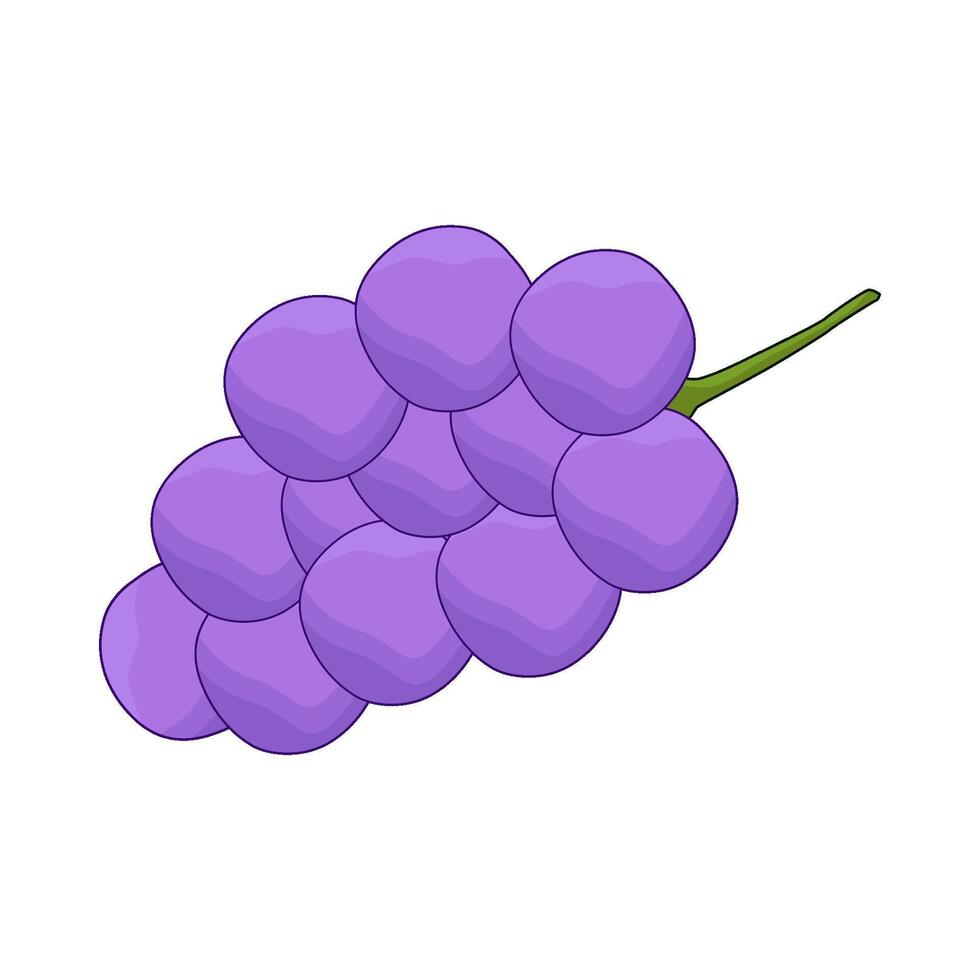 illustration of grape vector