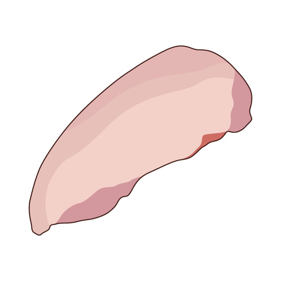 illustration of chicken breast vector