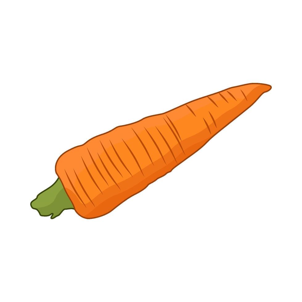illustration of carrot vector