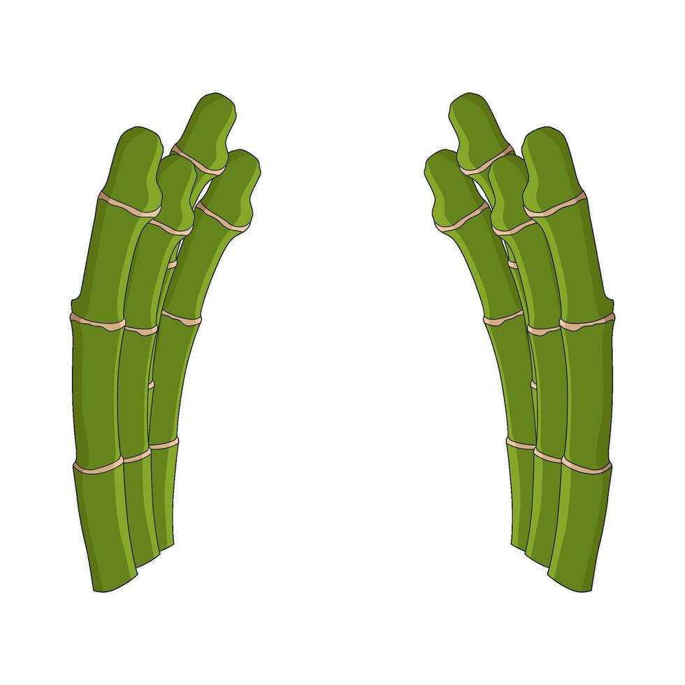 illustration of japanese bamboo vector