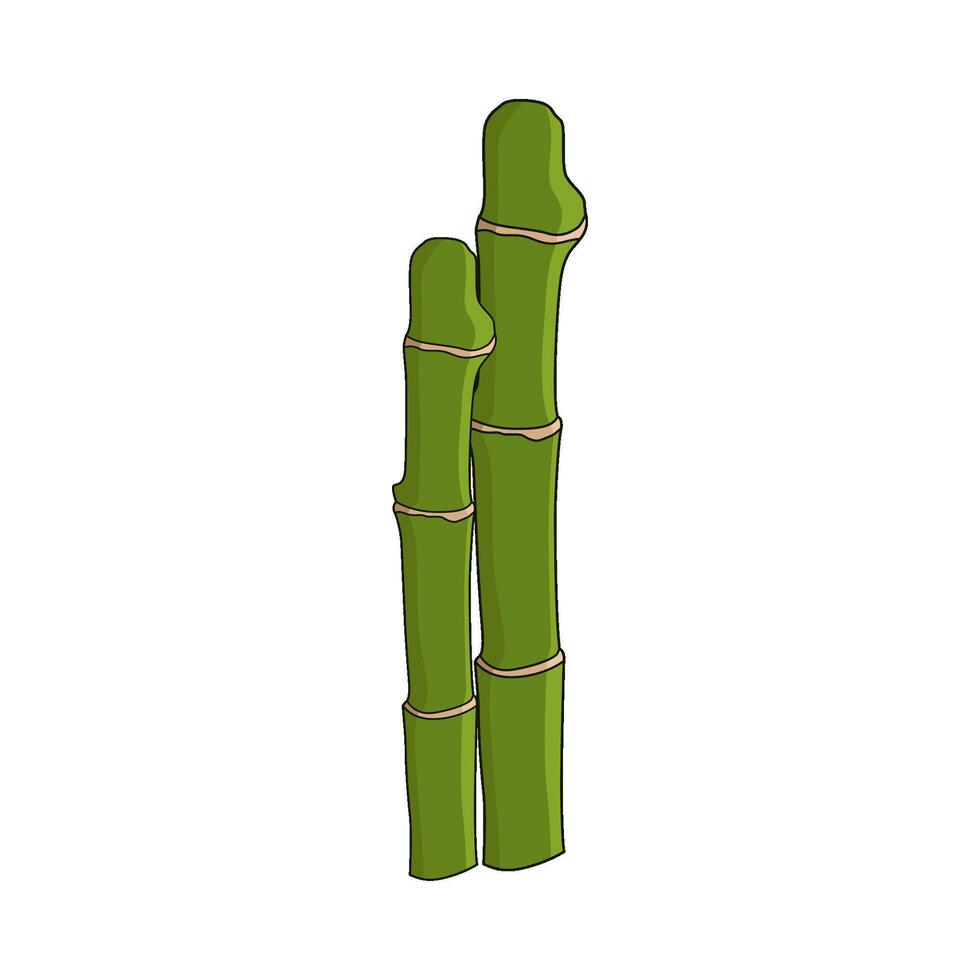 illustration of japanese bamboo vector