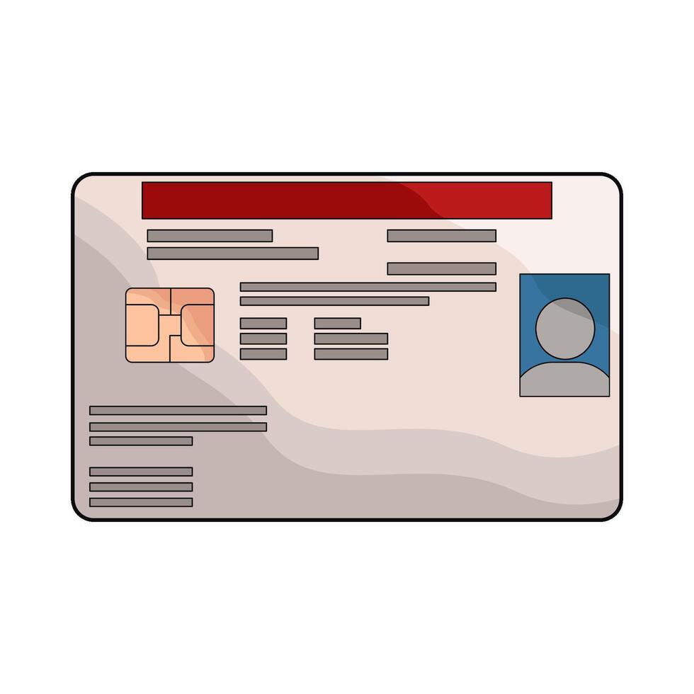 illustration of driver license vector