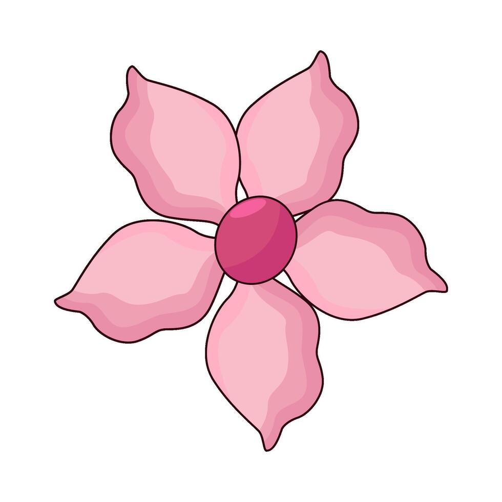 illustration of cherry blossom vector