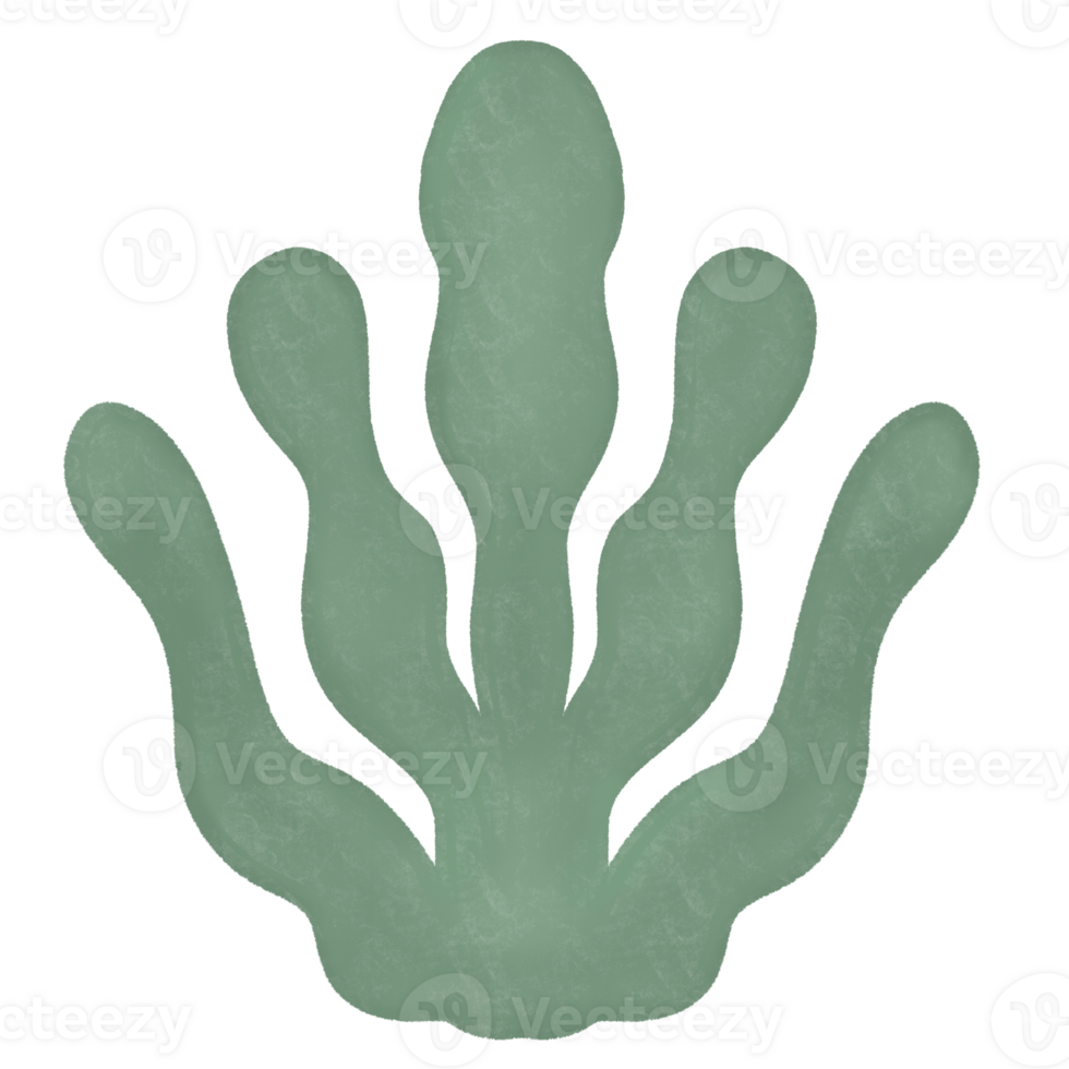 Green seaweed, looks delicious. png