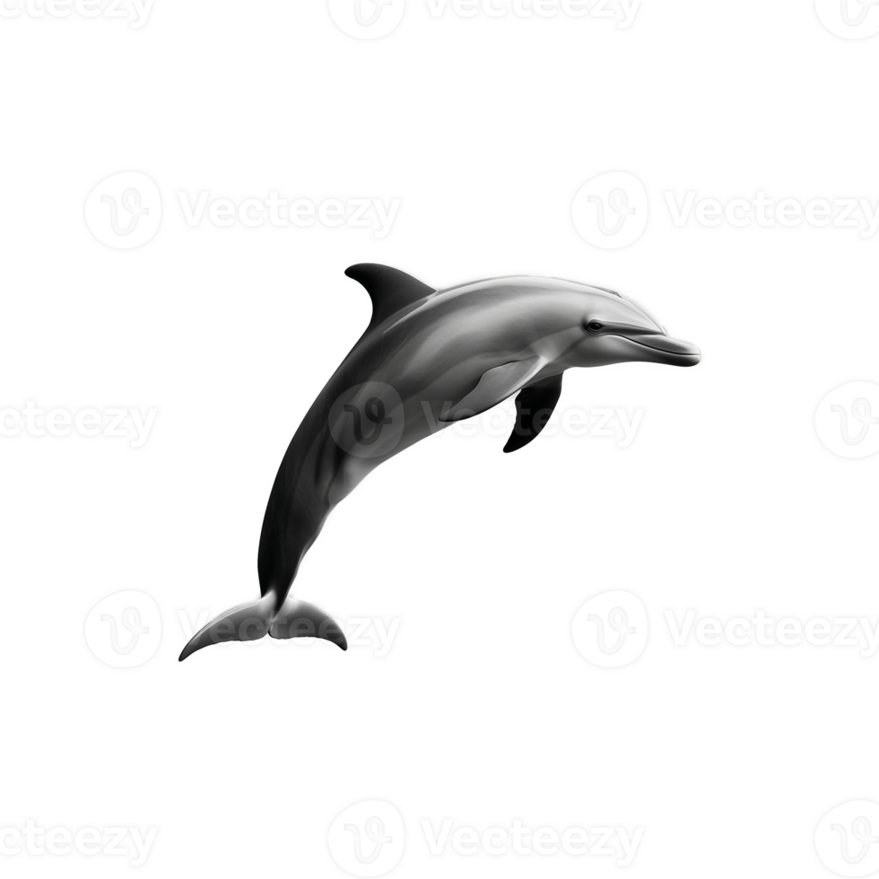 Dolphin leaping out of the water with smooth gray skin, transparent background png