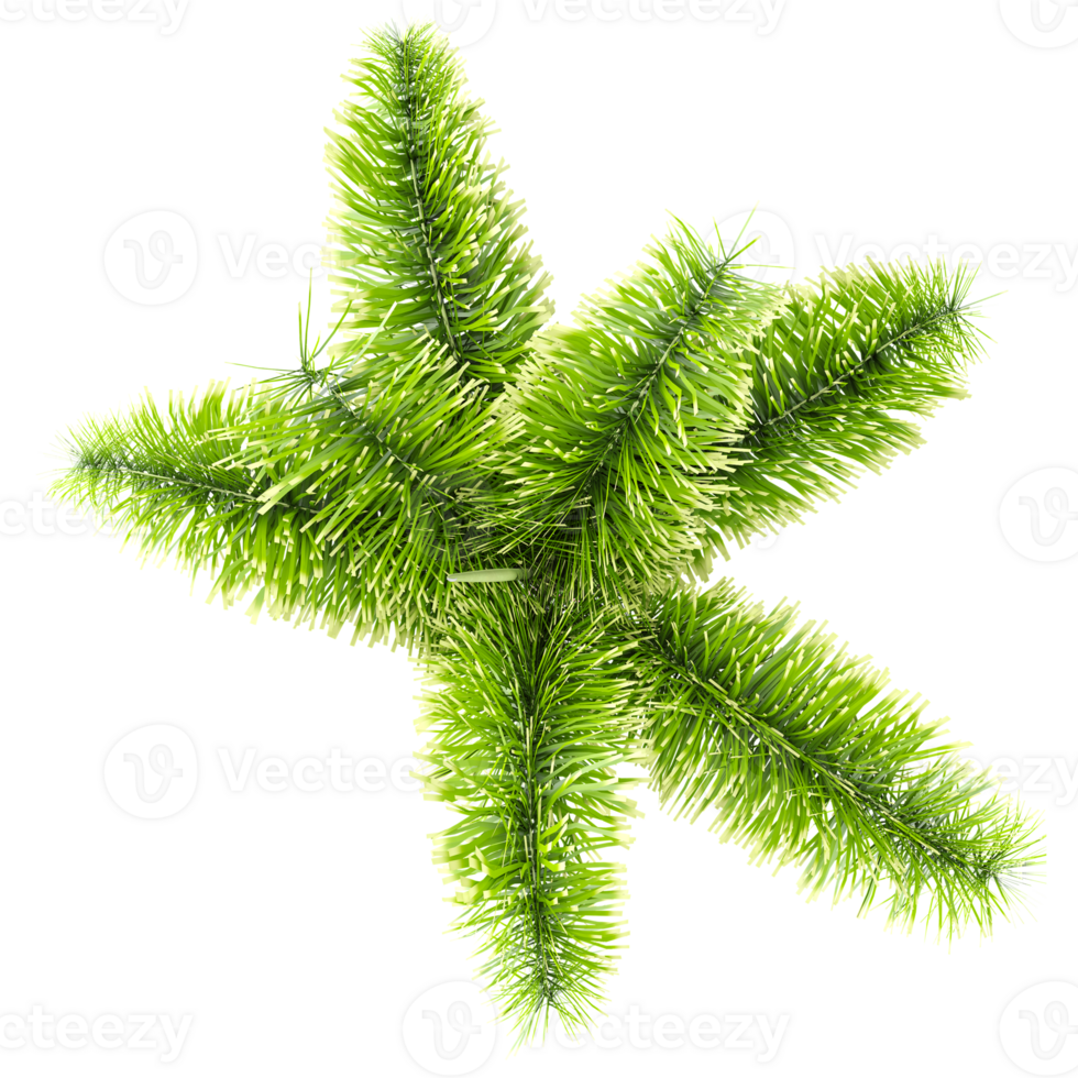 collection of Wodyetia bifurcata palm tree with realistic style from top view png