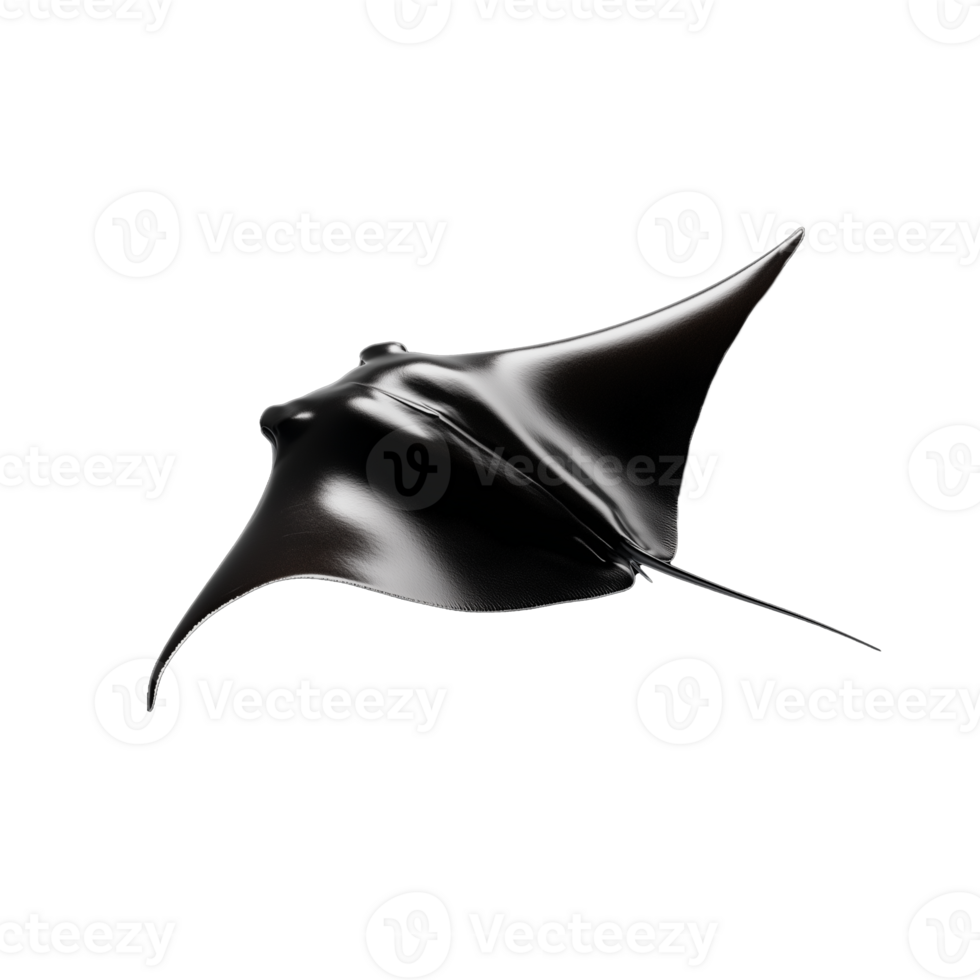 Large manta ray swimming gracefully with its wings spread wide, on a transparent background png