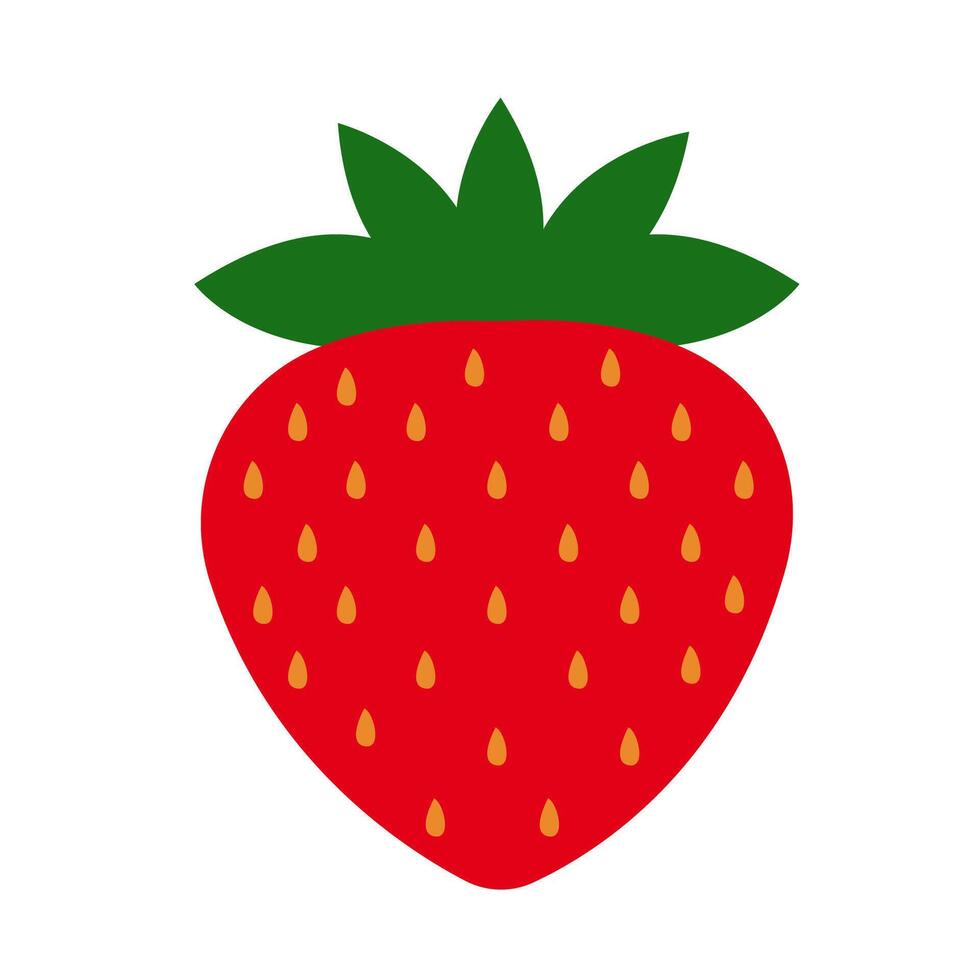Strawberry illustration isolated on white background vector
