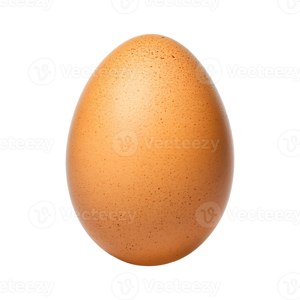 Egg isolated on a transparent background png