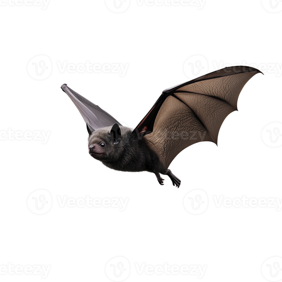 Bat with brown wings flying mid air, head facing forward, transparent background png