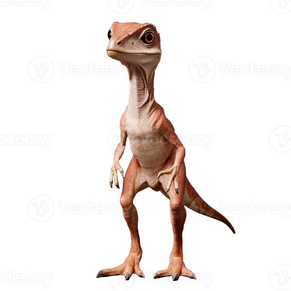 Small dinosaur standing upright with a long tail and big eyes, on a transparent background png