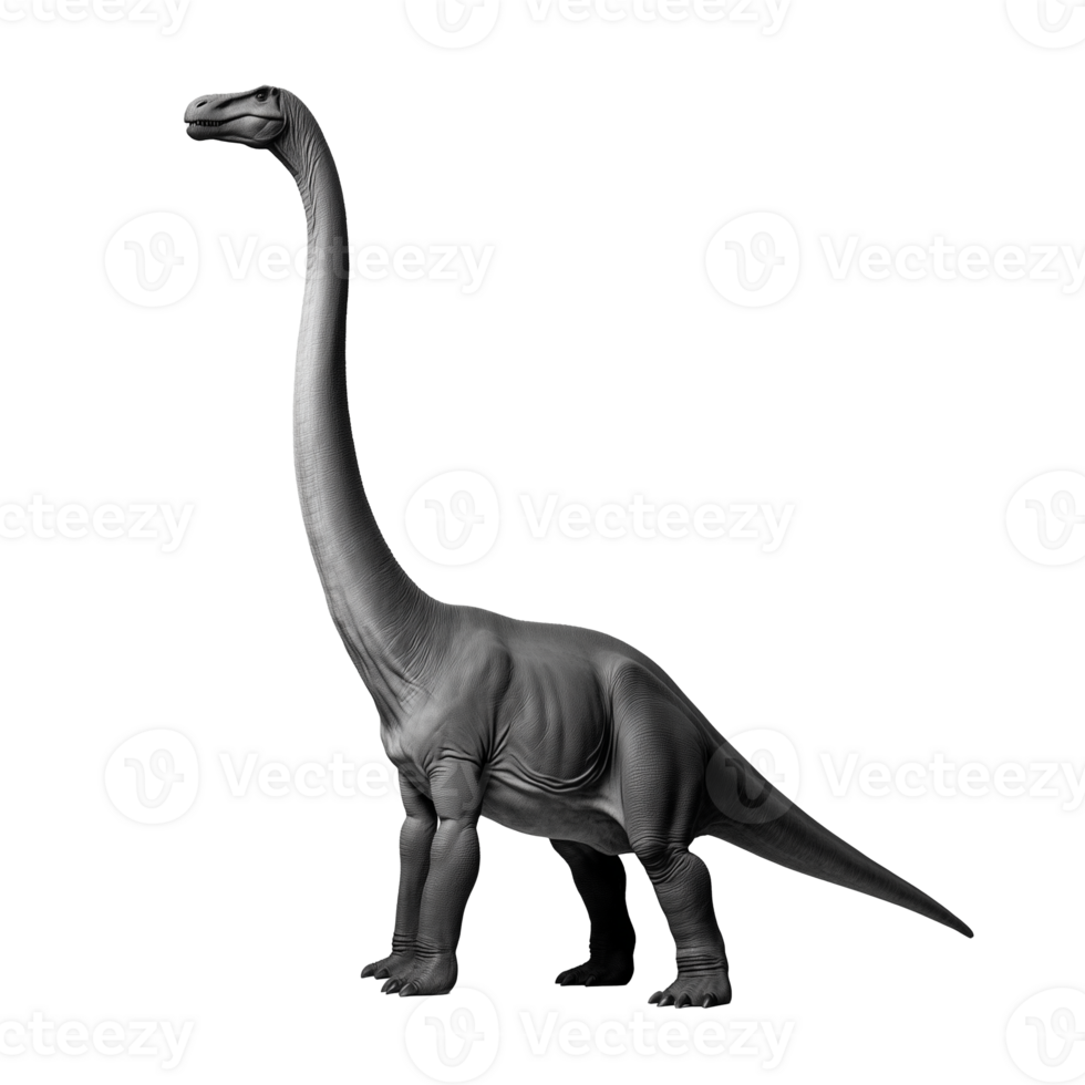 Brachiosaurus standing tall with its long neck and tail, on a transparent background png