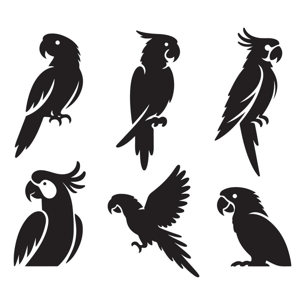 Series of parrot outlines vector