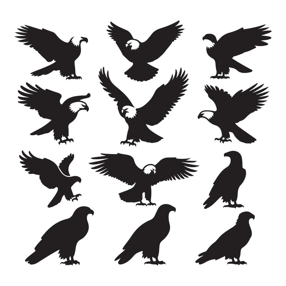 A variety of eagle shadows on a blank white background vector
