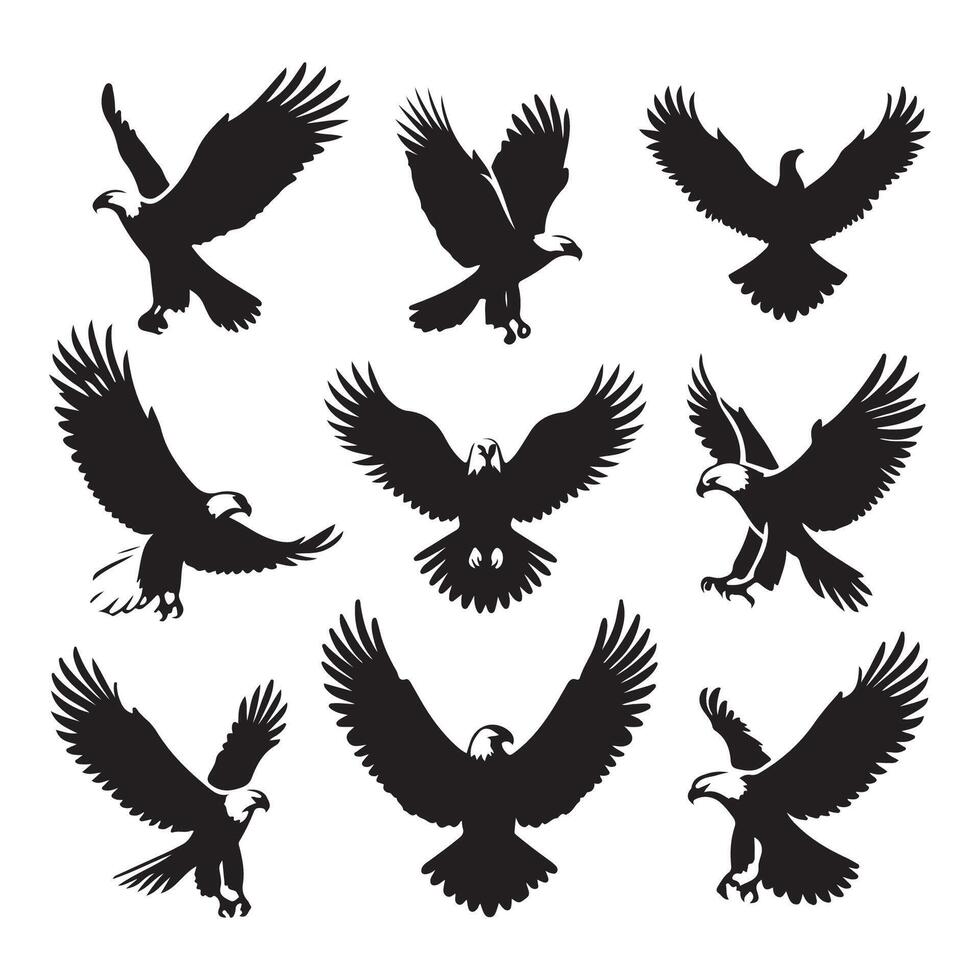 Collection of eagle forms on a white background vector