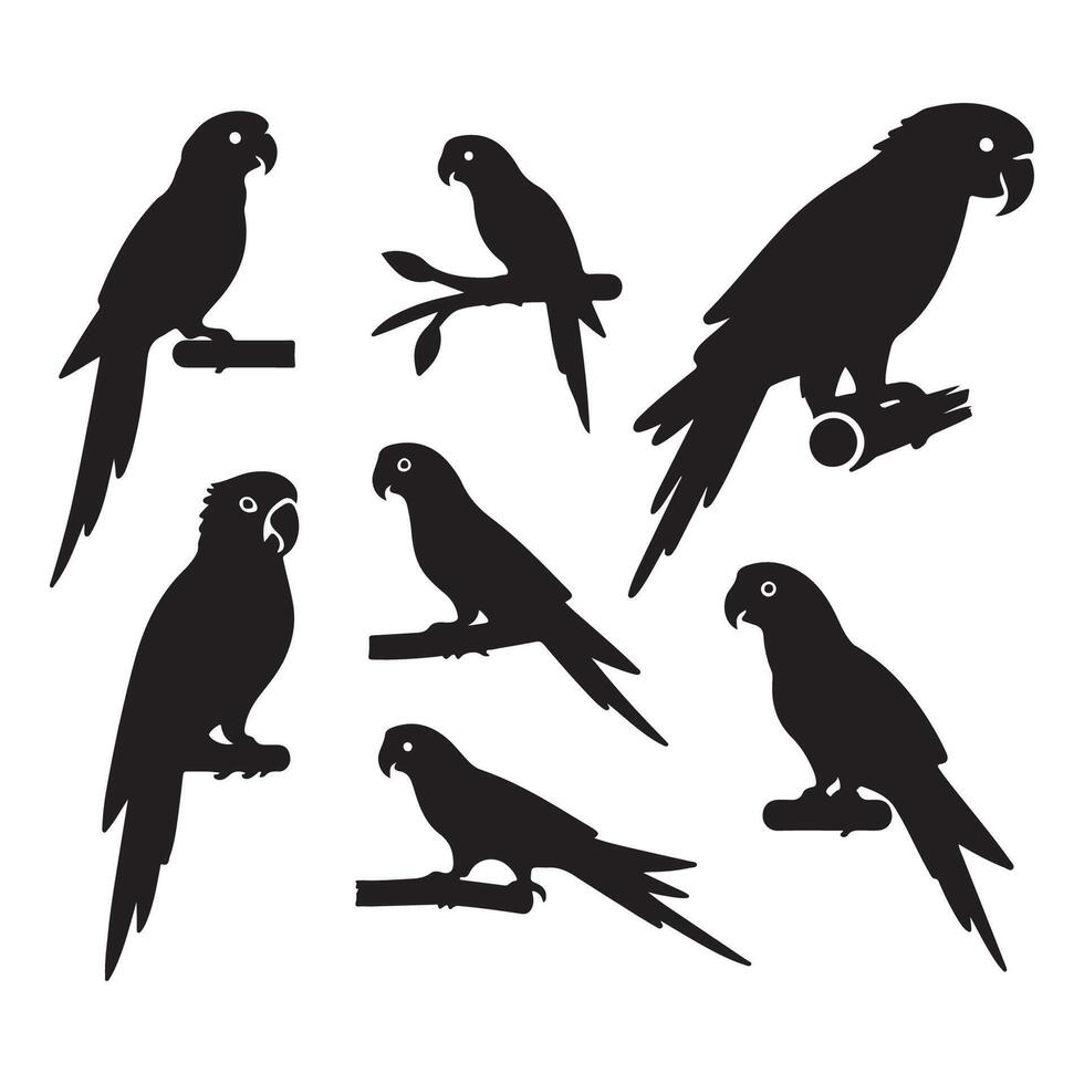 Range of parrot outlines vector