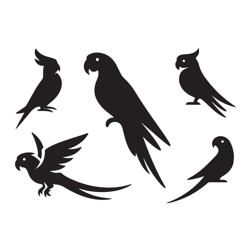 Ensemble of parrot shadows vector