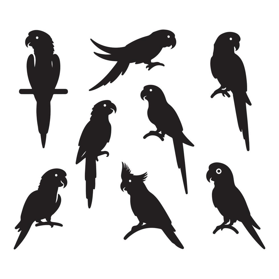 Set of parrot forms vector