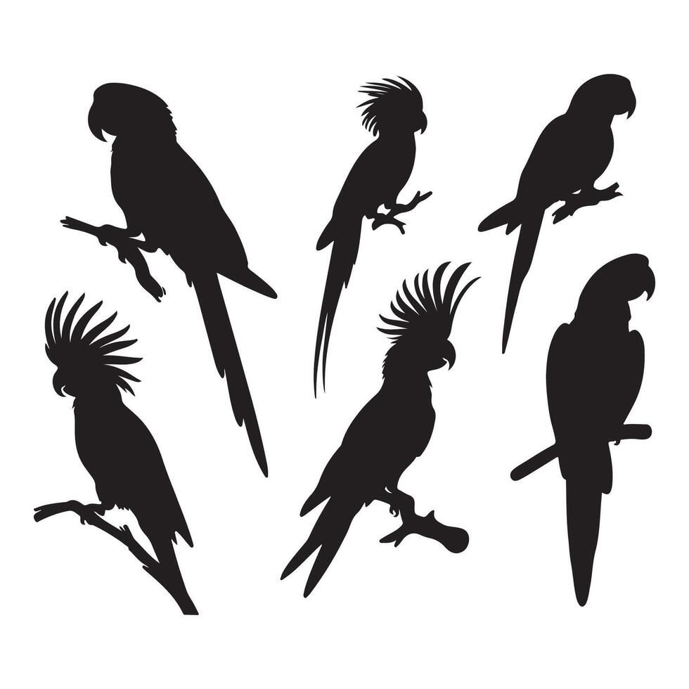 Batch of parrot outlines vector