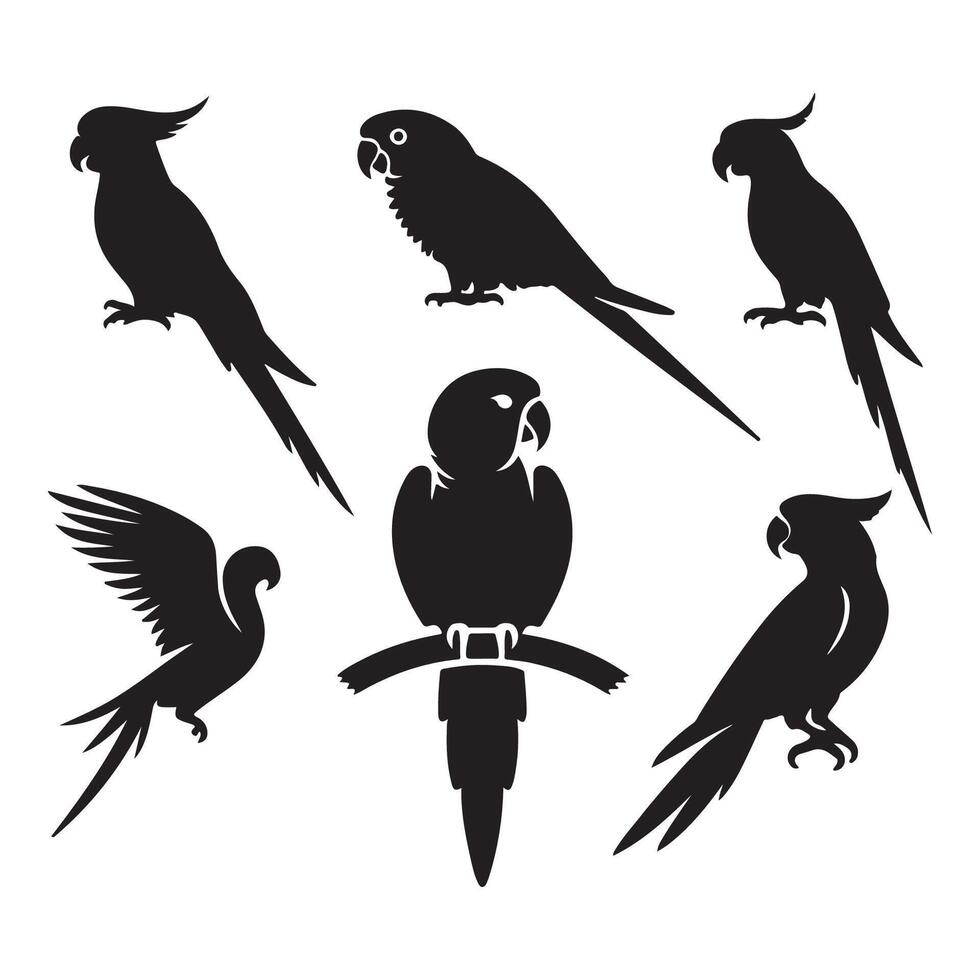 Set of parrot forms vector