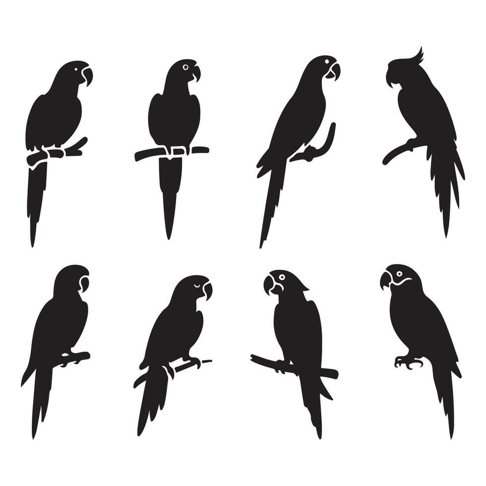 Compilation of parrot outlines vector