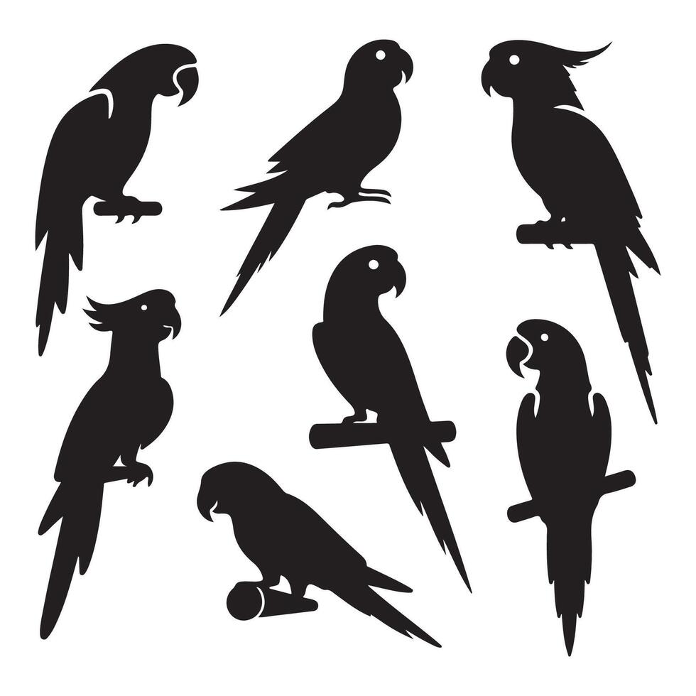 Collection of parrot shadows vector