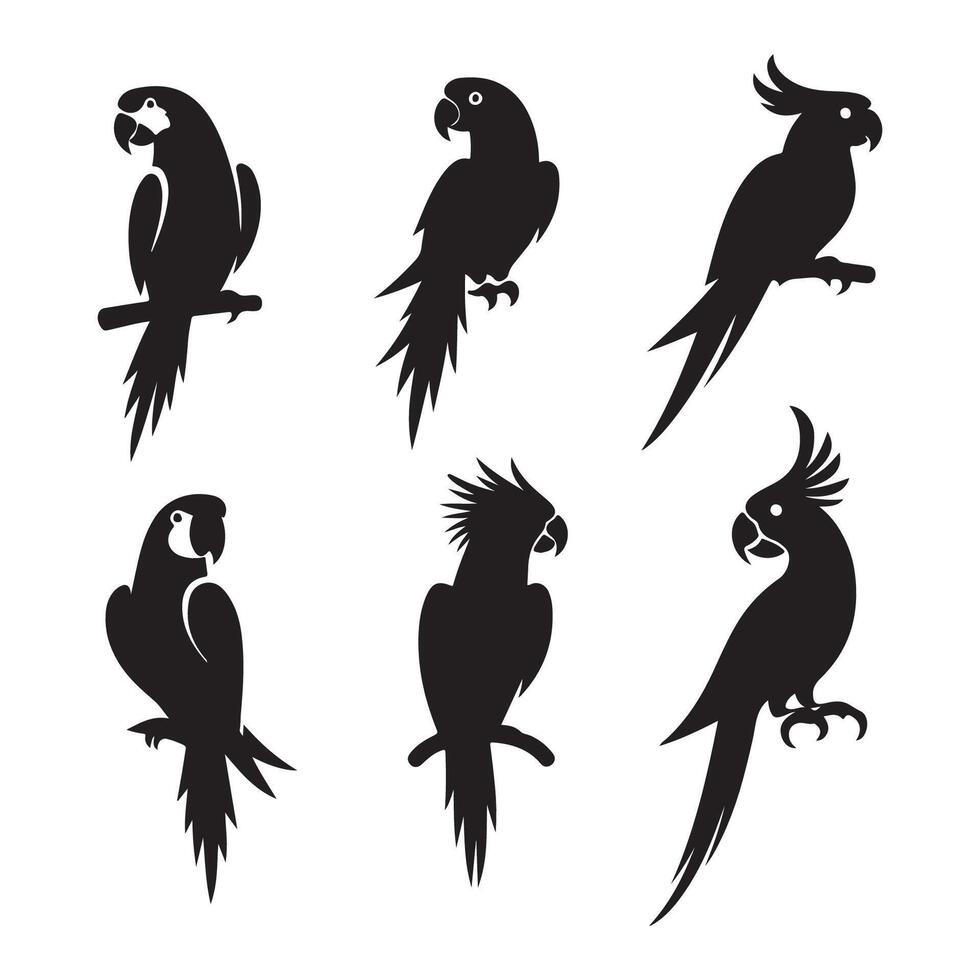 Array of parrot profiles vector