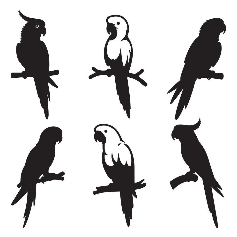 Cluster of parrot silhouettes vector