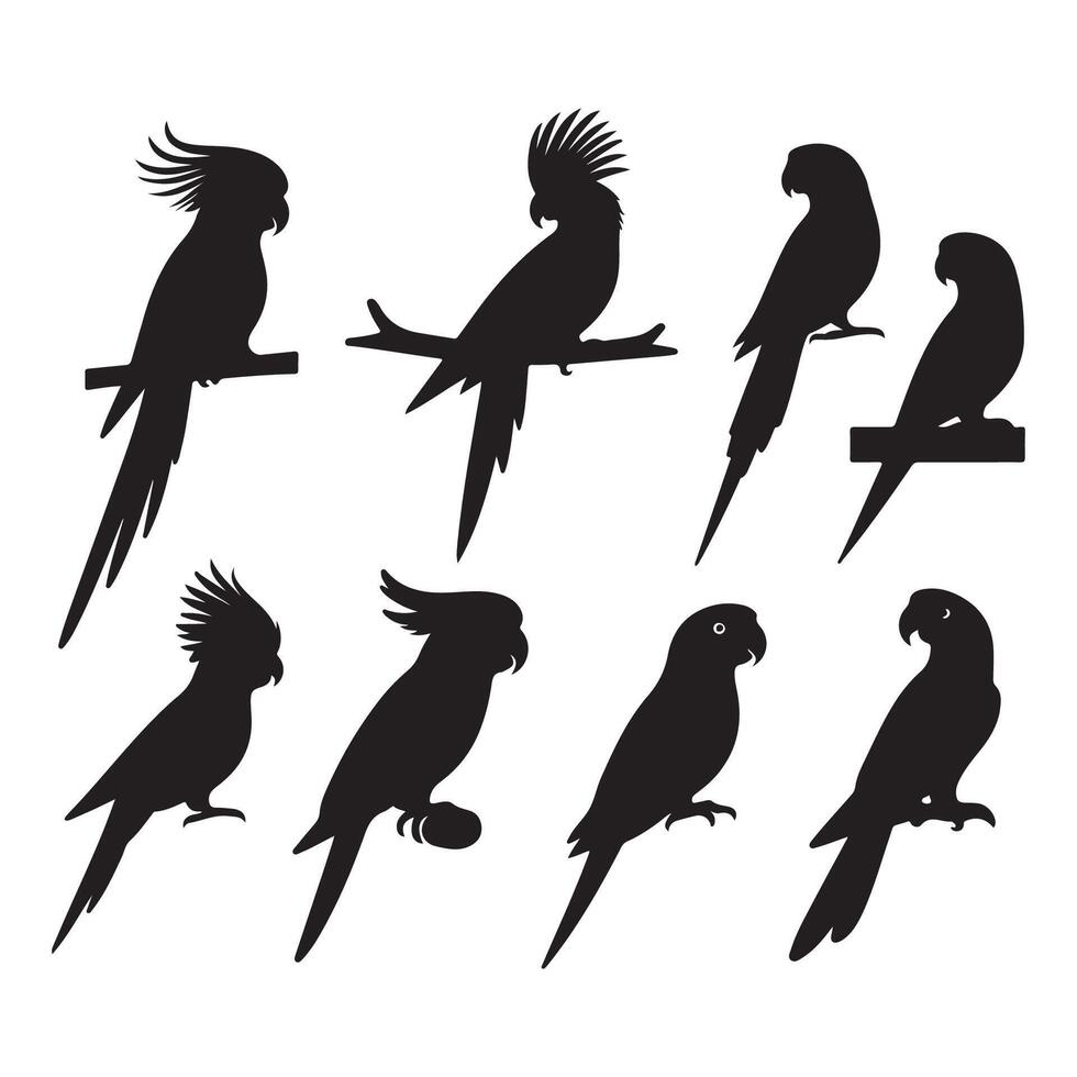 Selection of parrot silhouettes vector