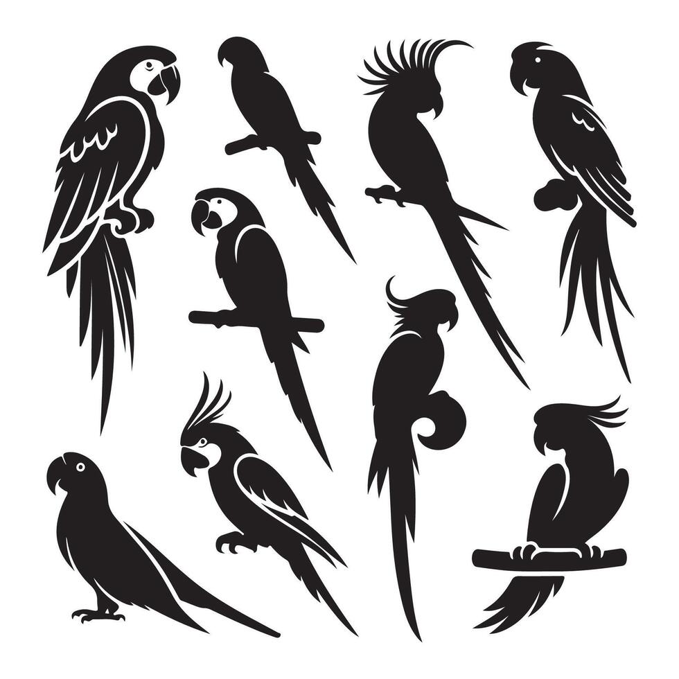 Set of parrot silhouette on white background vector