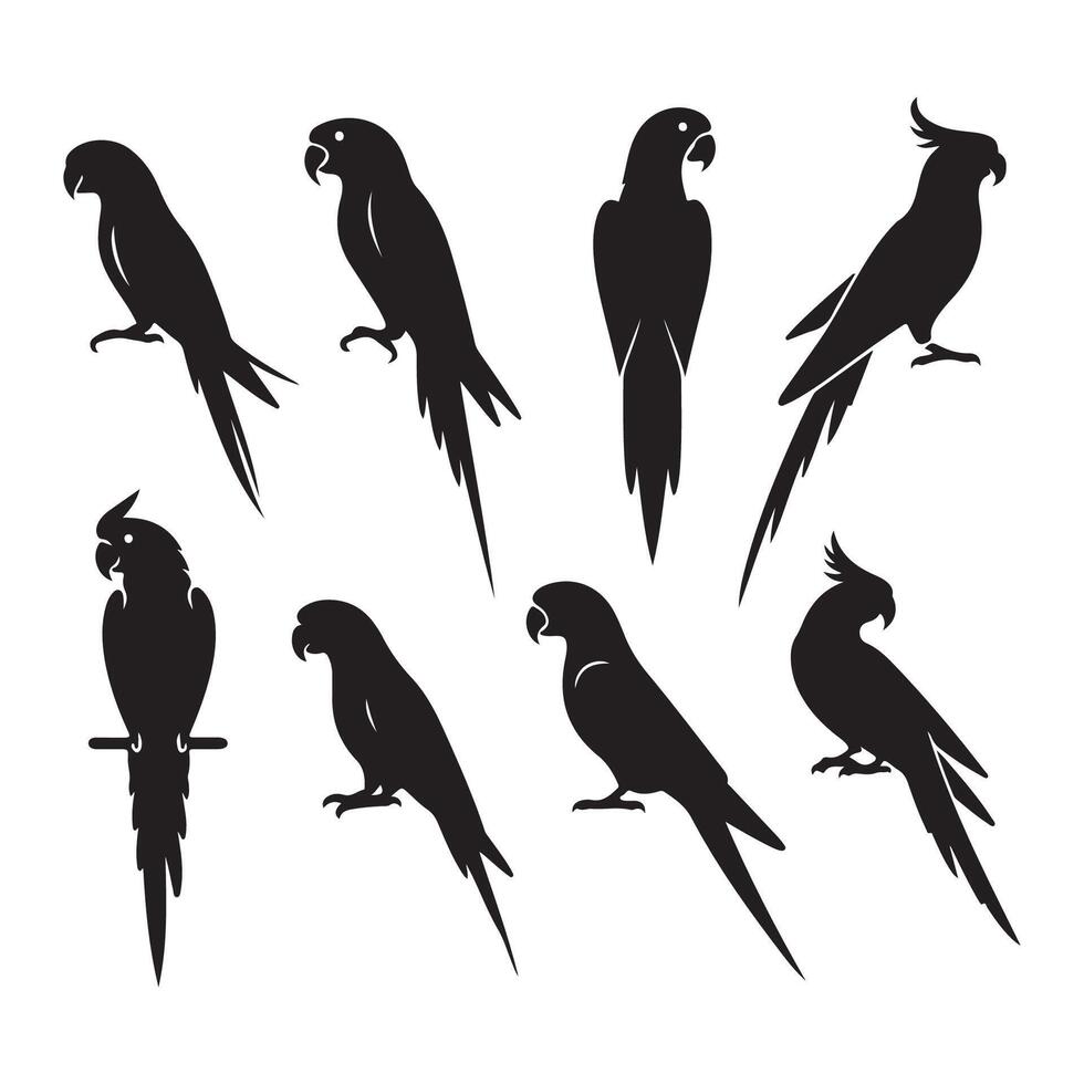 Ensemble of parrot shapes vector