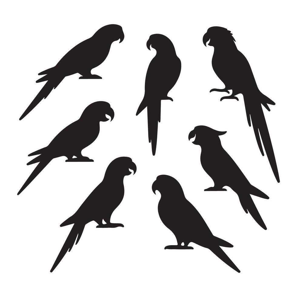 Assortment of parrot figures vector