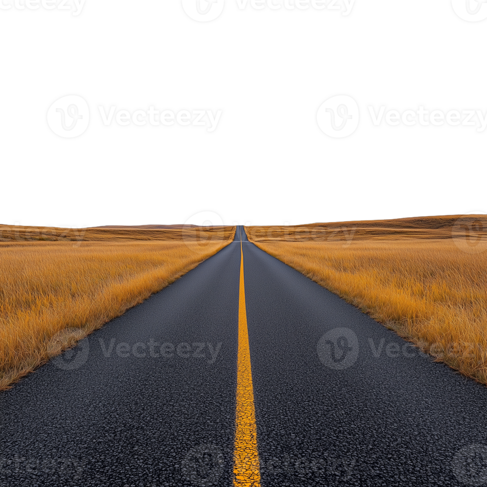 Long empty road through a golden field, extending into the distance on a transparent background png
