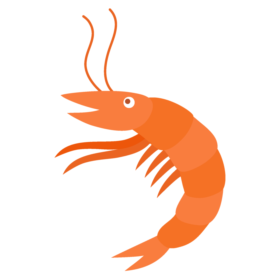 shrimp icon illustration png