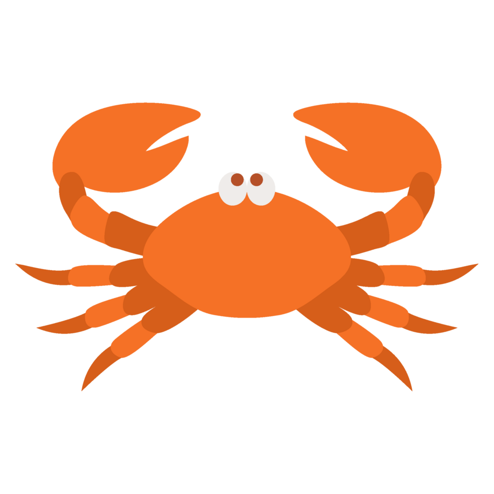 crab animal illustration png