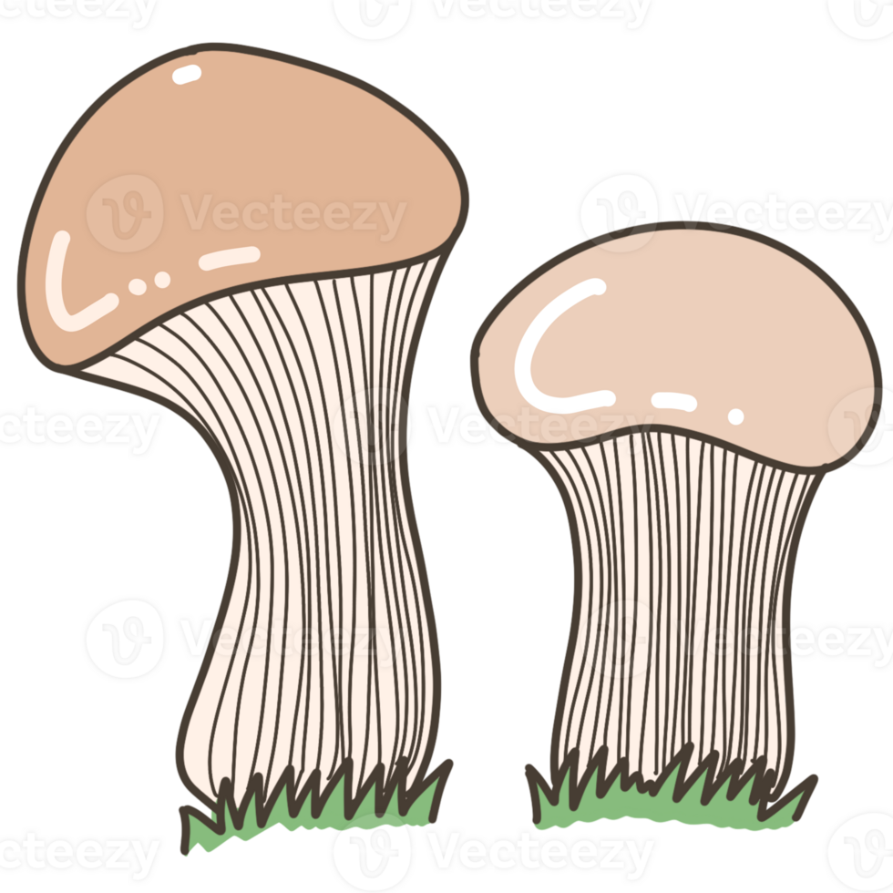 cute healthy mushrooms png