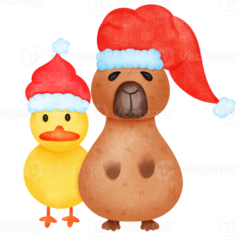 Capybara and duck wearing a Christmas hat png