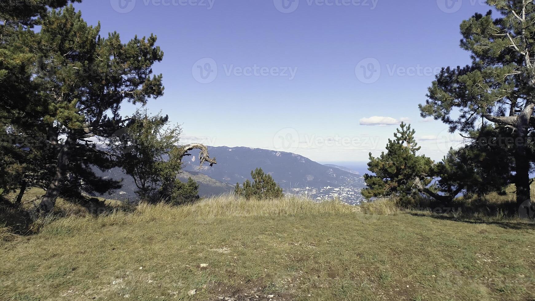 Amazing view from the top on the small city near the sea surrounded by the high mountains and green trees against blue sky in sunny summer day. Shot. Amazing view from above photo