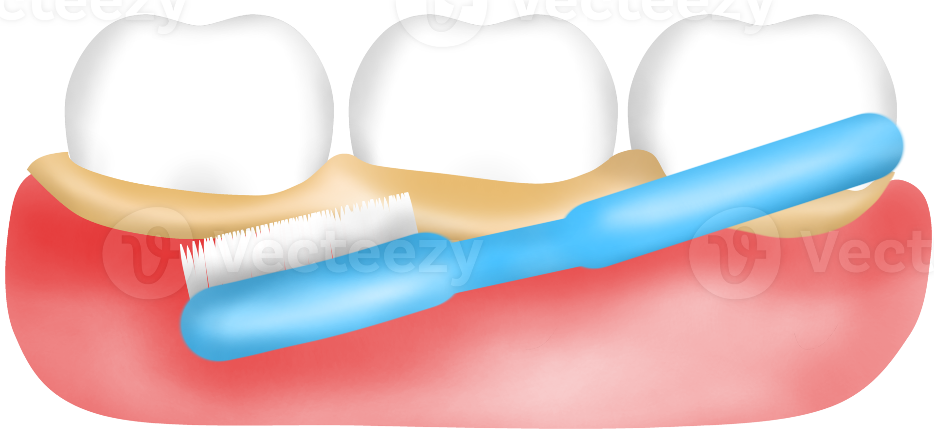 Brushing teeth to reduce bacterial plaque and bad breath png