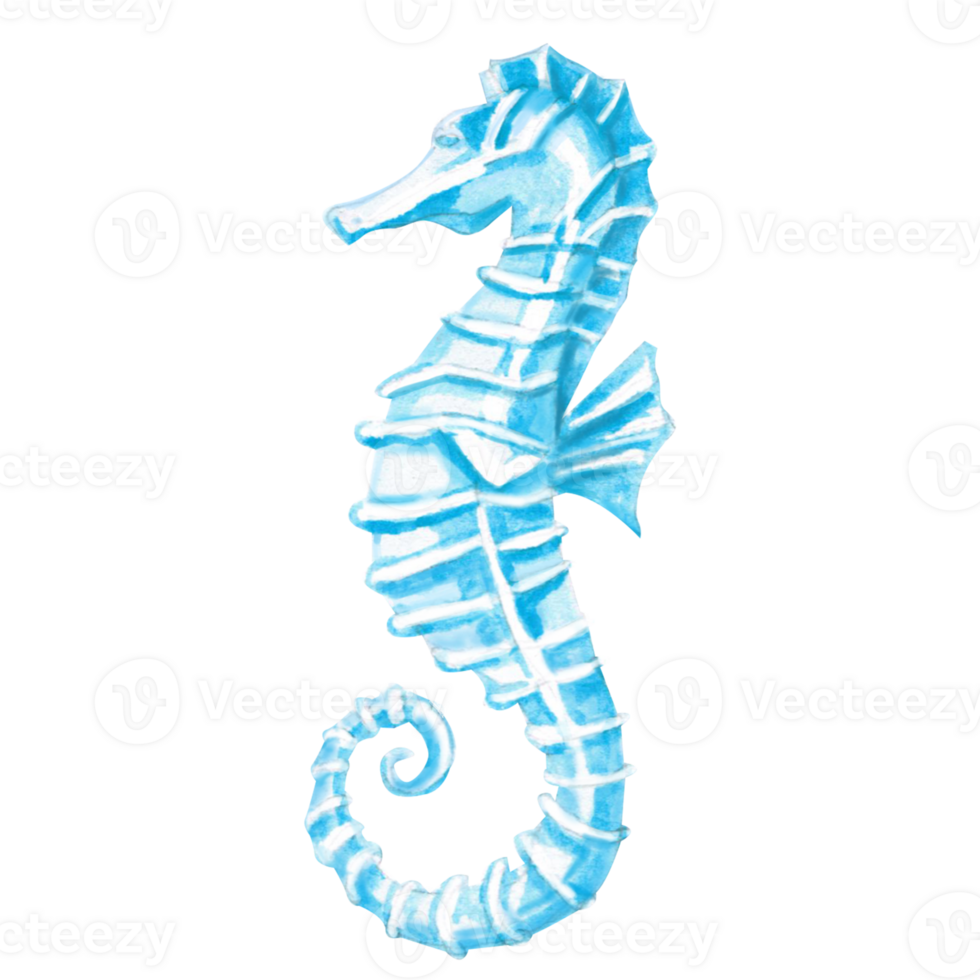 Seahorse hand drawn. Isolated watercolor realistic illustration of sea creature for fish restaurant design, menu, textile, posters png