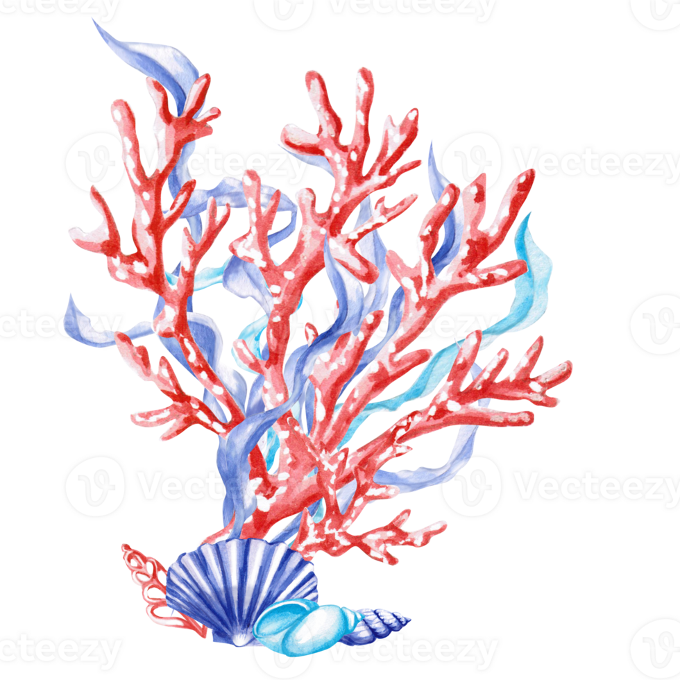 Coral branches with shells and seaweed in watercolor. Isolated monochrome illustration of sea creatures for marine themed event design, textile design, printing, children's parties png