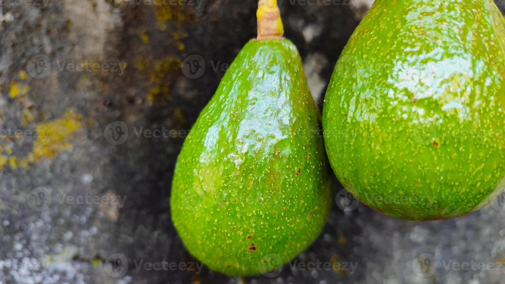 fresh avocado fruit with honey for healthy food, silce avocado moody photo