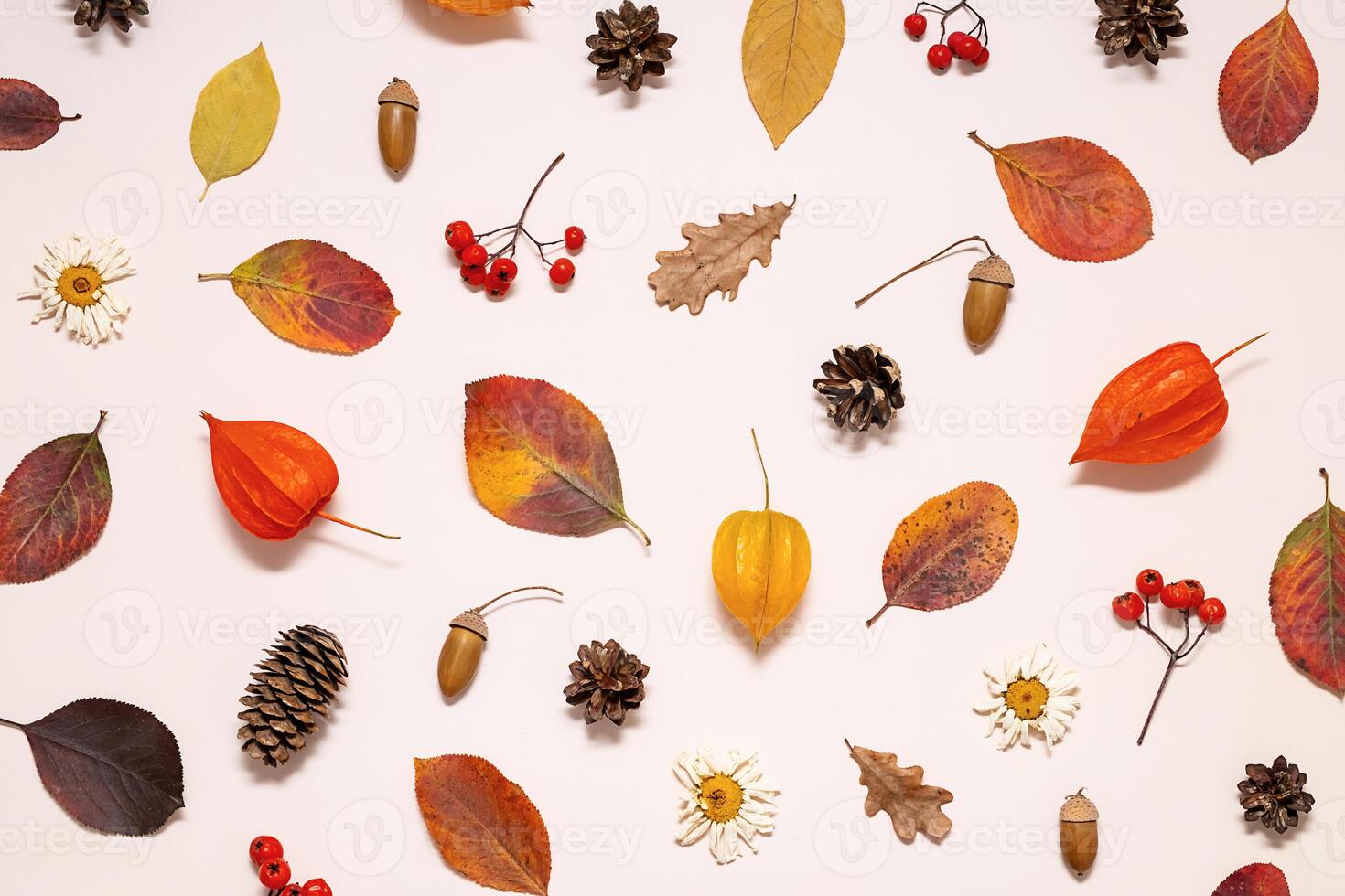 Colorful autumn leaves and natural elements creating a seasonal aesthetic. photo